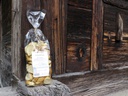 I quotidiani, Crostini all' Origano, Oregano Crostini, 200 g